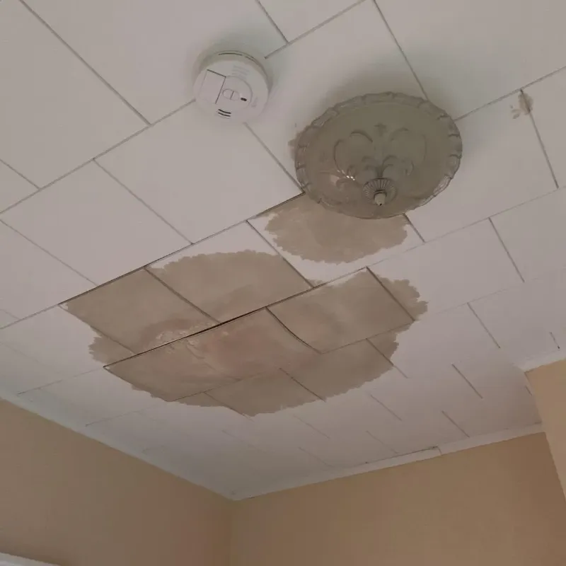 Ceiling Water Damage Repair in Stockbridge, MA