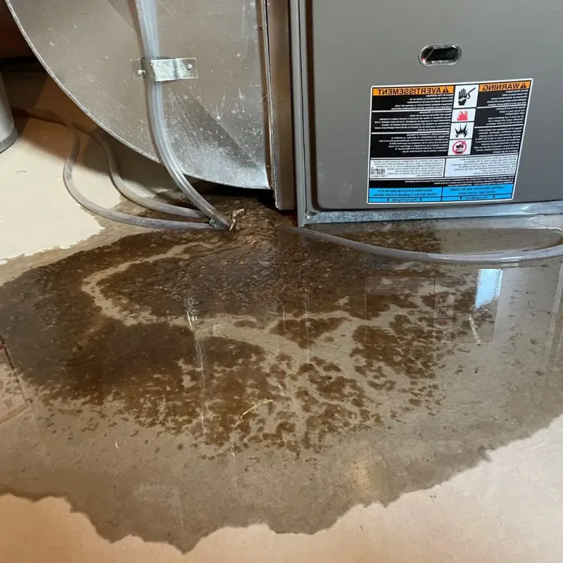 Pipe Burst and Leak Restoration in Stockbridge, MA